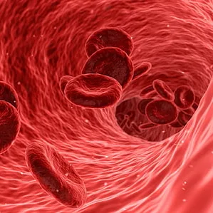 Μιχαλοπούλου Σωτηρία