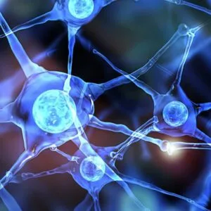 Ψαλτάκη Μαριαγγελική