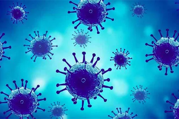 Μικροοργανισμοί στα μεικ- απ που χρησιμοποιούμε