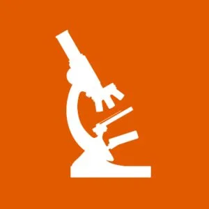 Μουντάκη Φωτεινή