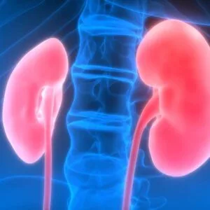 Χατζηλιάς Πέτρος