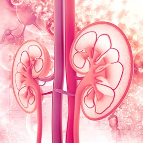 Μπράχος Ηλίας