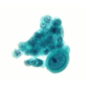 Γκίκας Χρήστος