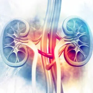 Μακρυγιαννάκης Νικήτας