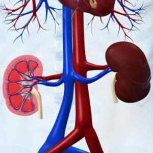 Παπαδόπουλος Δημήτριος