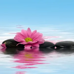 Ρήγας Γεώργιος