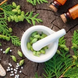 Αθανασοπούλου Ιωάννα