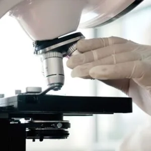 Καταπότη Χρυσούλα