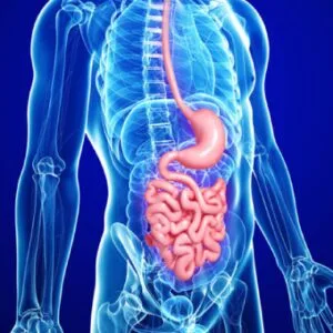 Τσιώτος Παναγιώτης