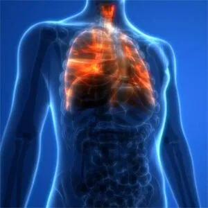 Φλαμπουριάρης Σπυρίδων