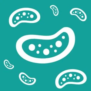 Γαλανοπούλου Δήμητρα