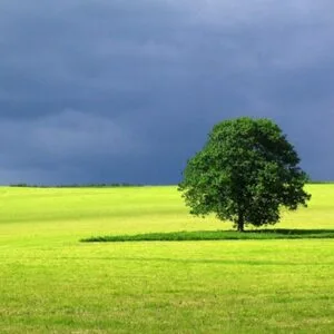Καλογιάννης Γεώργιος