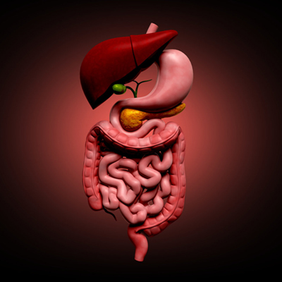 Φραγκιαδάκης Νικόλαος - Γαστρεντερολόγος Φραγκιαδάκης Νικόλαος - Γαστρεντερολόγος